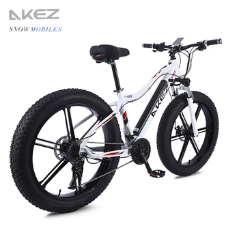 akez electric bike