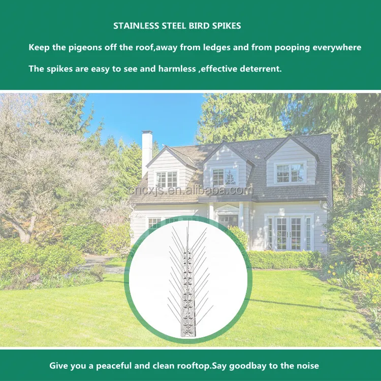 Diy Bird Spikes Effective Way To Deter Bird Pests Ss304 Pigeon Spikes