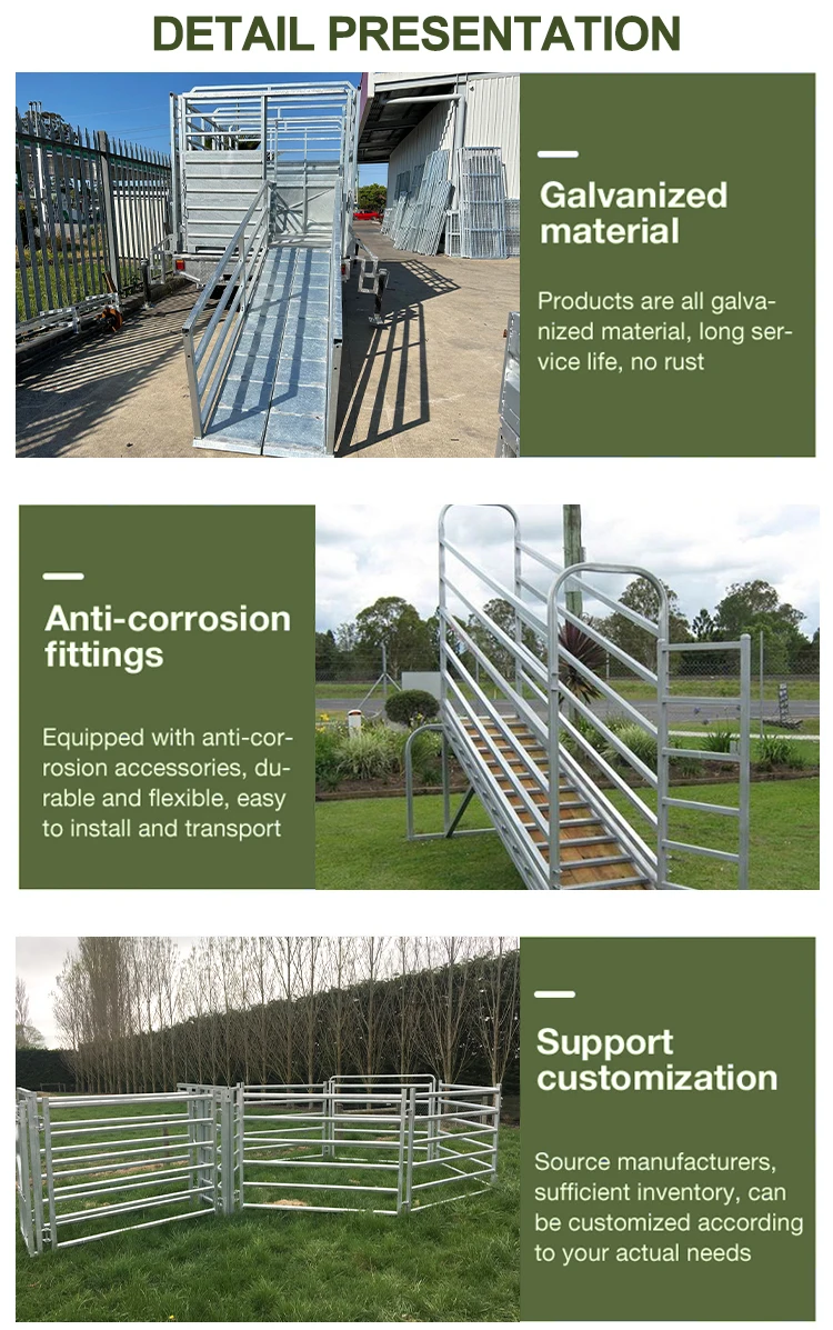 Manufacturer Shipping Container Heavy Duty Livestock Cattle Loading