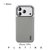 Sliver
