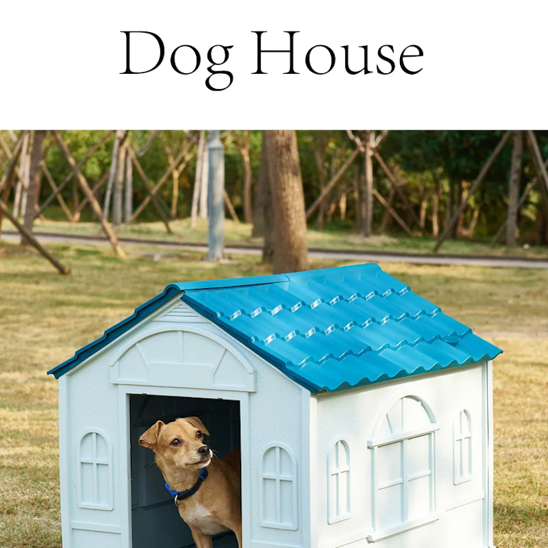 What Is Dog House Called