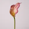 Rose foncé