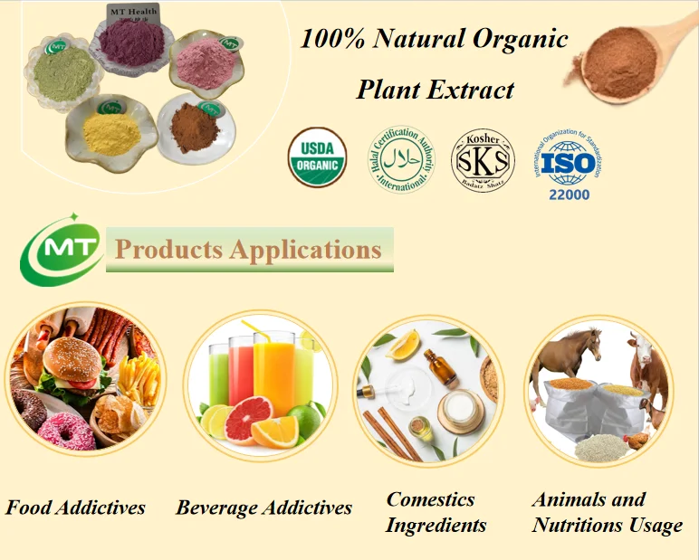Pure Natural Ferula Communis Seed Extract 10:1 Ferula Communis Extract