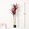 New white-stemmed red sisal - 120cm