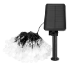 Noir+Transparent