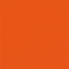 Bright Coral Orange