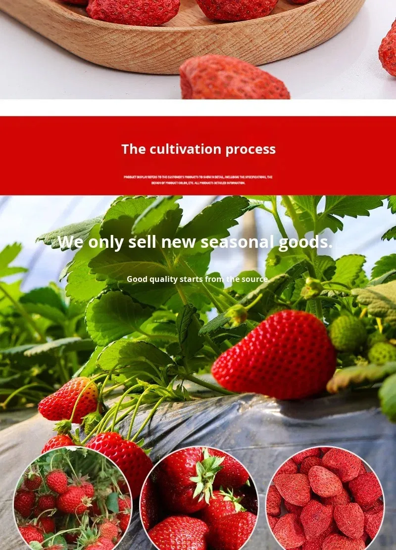 Premium Freeze Dried Strawberry Slices | Bulk Wholesale Price H4731e85187584733886e5f07a1f7e8645