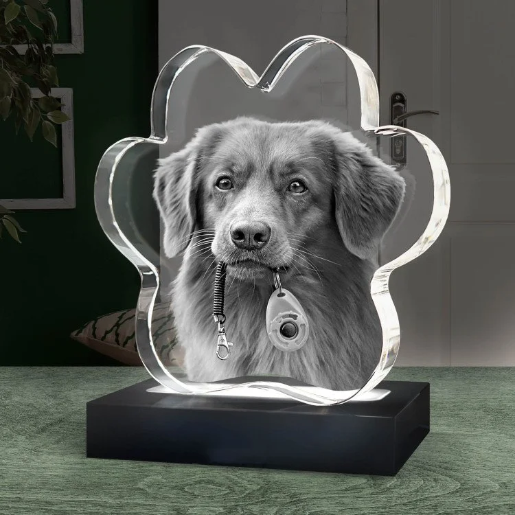 Cristal Personalizado 3D com Gravação a Laser de Pegada de Animal de Estimação Bloco de Cristal para lembrança de presente