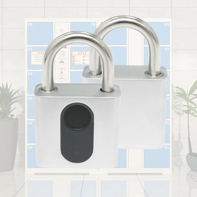 padlock bike wiht alarm