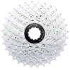 8 Speed (12-32T)