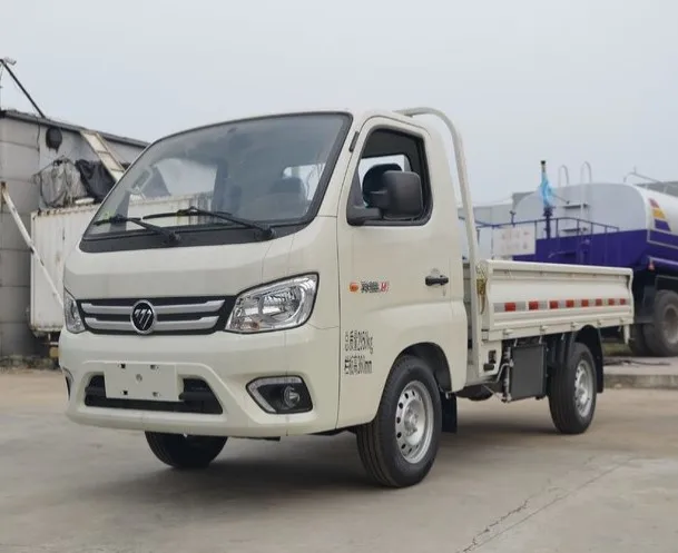 Small China 3 Tons FOTON 4x2 diesel  Light Cargo Truck
