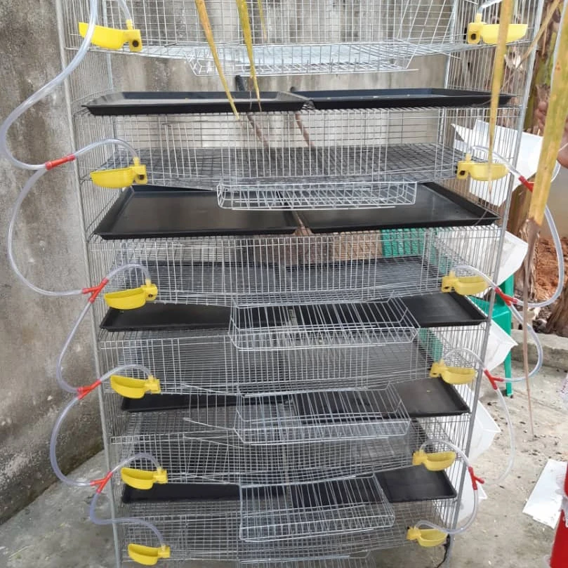 Low Price 6 Layers H Type Professional Plastic Quail Cage Hjqc400a