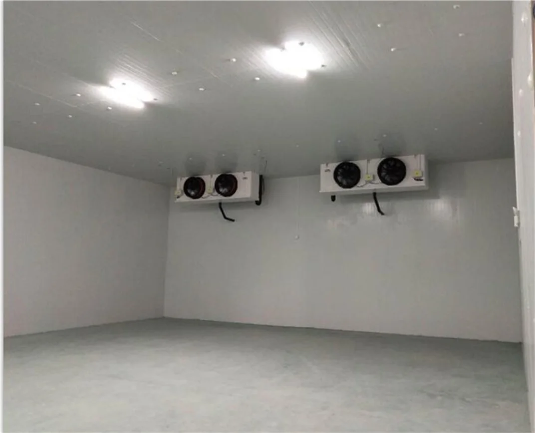 Air Cooling Cold Room Walk in Freezer Walk in Chiller