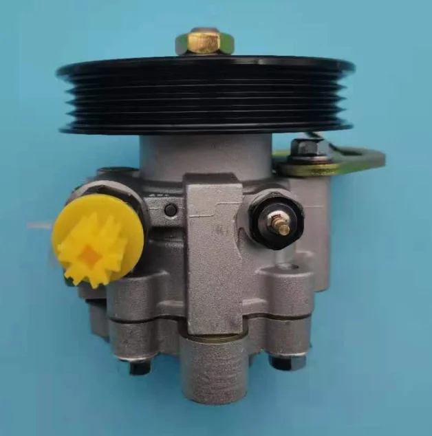 Power steering pump for Chevrolet Marty