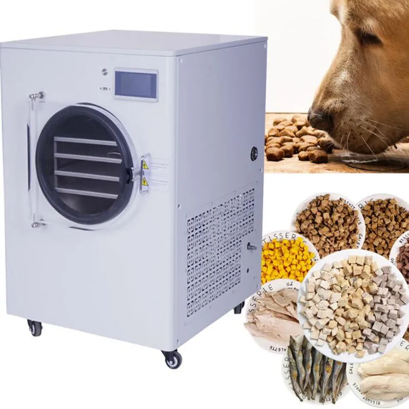 2022 vacuum freeze dryer machine multifunctional