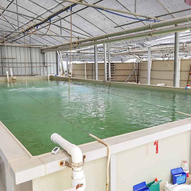 מערכת eWater RAS Circulating Aquaculture