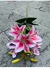 สีชมพู