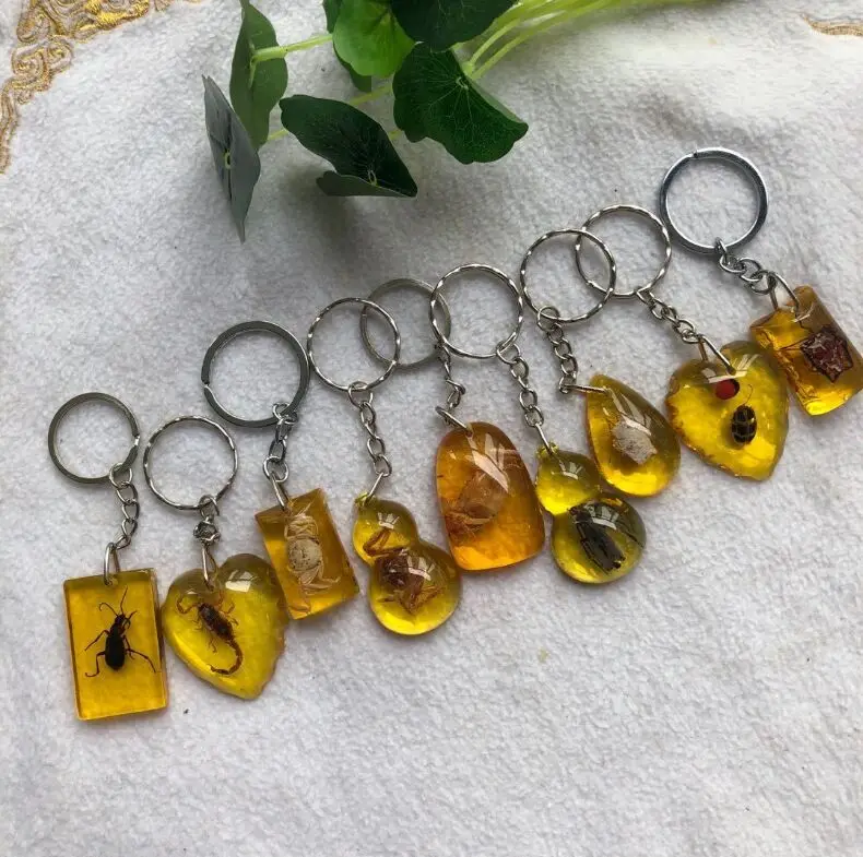 real insect specimen amber keychain pendant| Alibaba.com