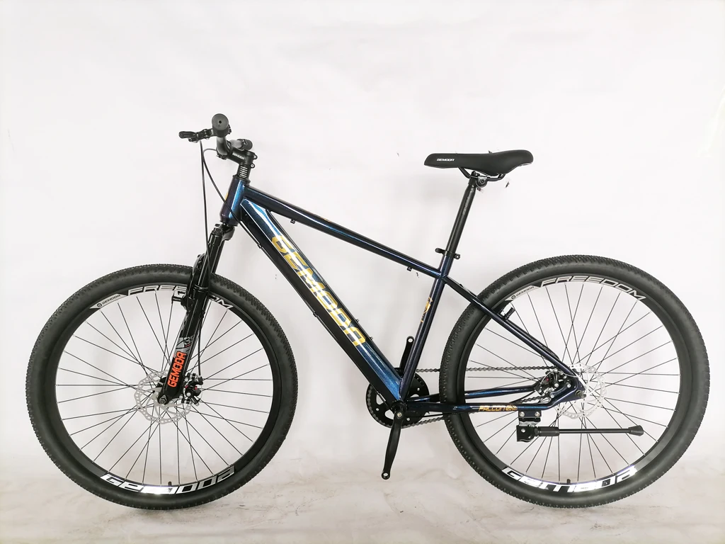 29inch Single Speed Cheap Bicycles for Adults Xl Mountain Bike