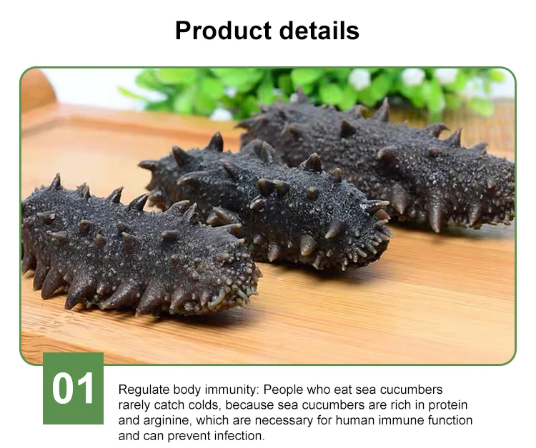 sea cucumber buyer