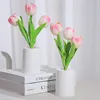Pink Tulip