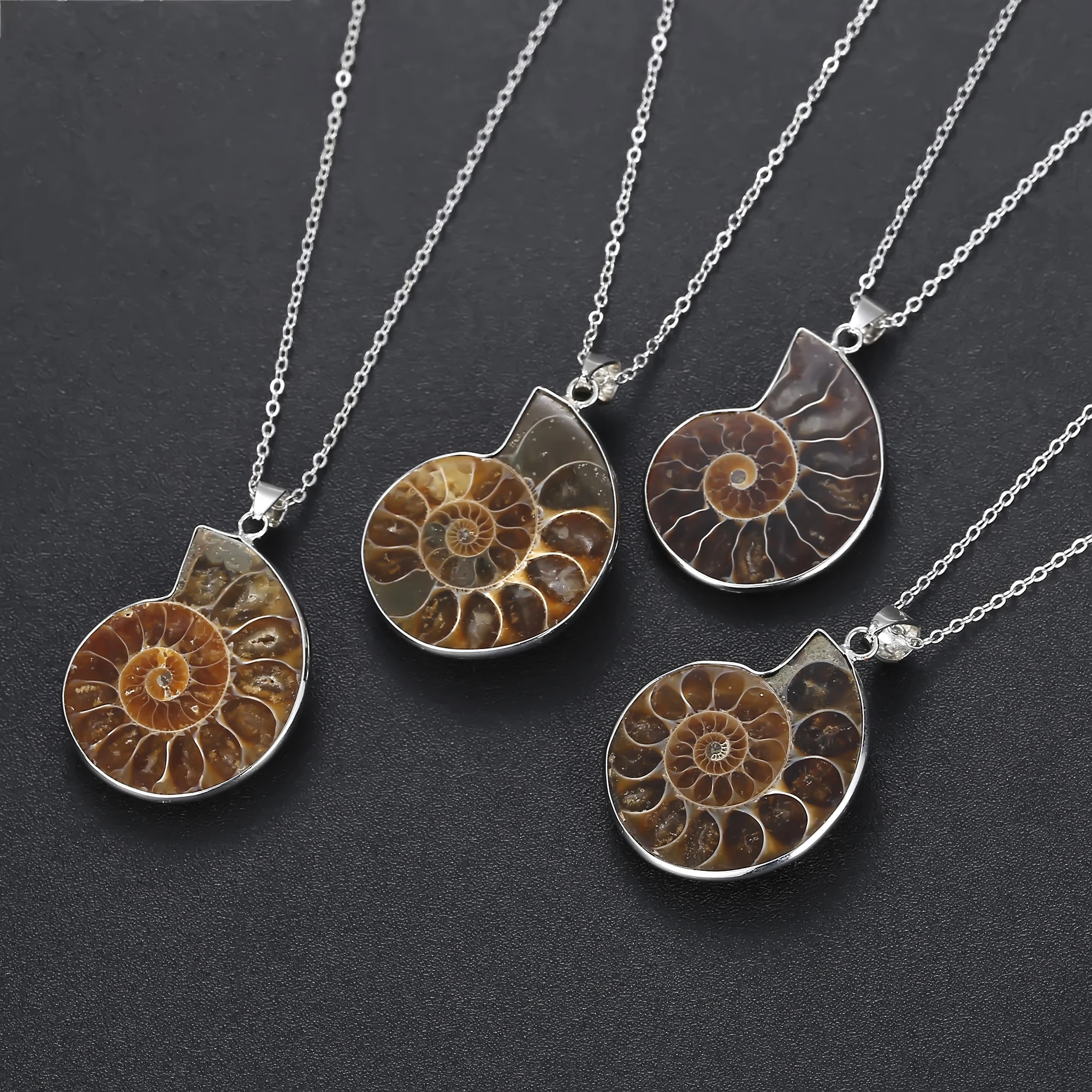 Ammonite fossile proprietà - Dimora degli Angeli Gioielli
