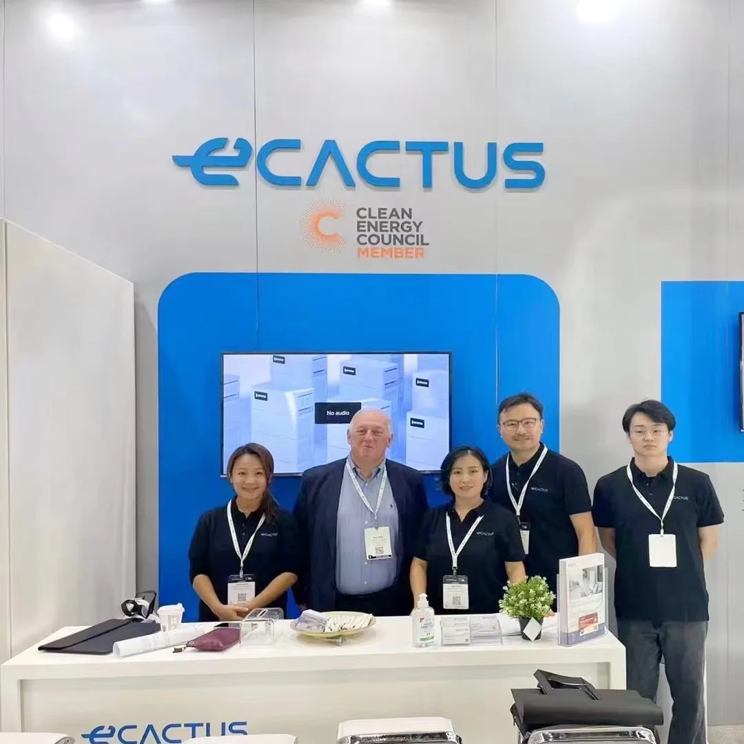 Ecactus High Voltage Home Outdoor Lithium Battery Energy Storage Solar ...