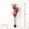 New white-stemmed red sisal - 150cm