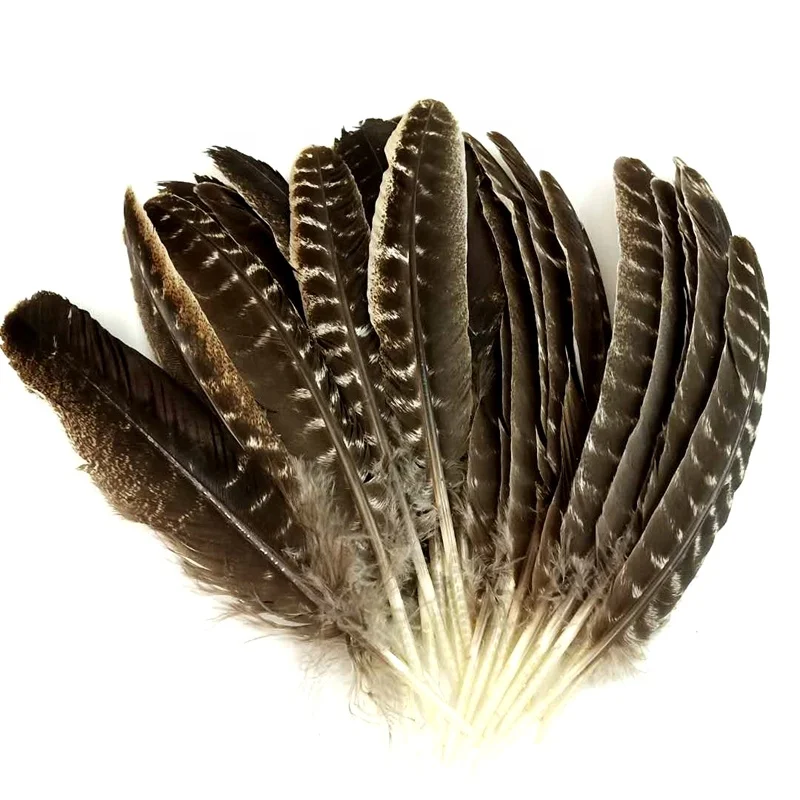 Wing discount Feathers, 1 Lb - Yellow Turkey Rounds Wing Quill Wholesale Feathers (Bulk) Halloween Craft Supplier : 4938