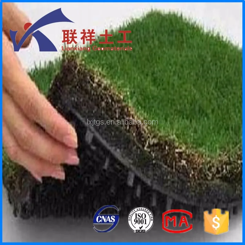 HDPE New Lightweight Building Construction Materials Green Roof System Dimple Plastic Drainage Strip Sheet Board