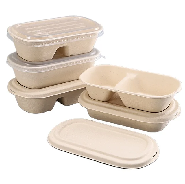 Bento Lunch Box Biodegradable Lunch Box Bagasse Food Container