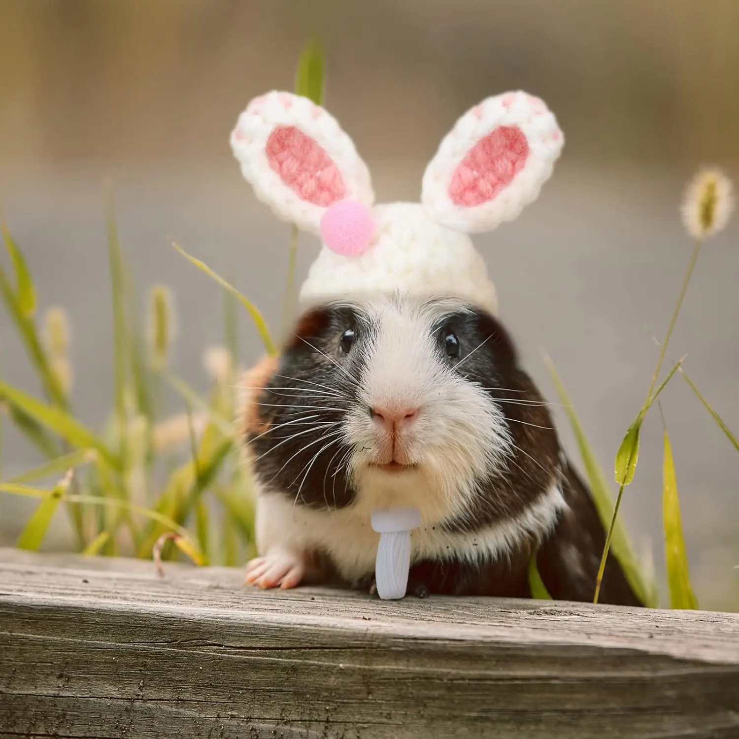 Party with a Purpose - Fun Hamster Hats for Tiny Animals