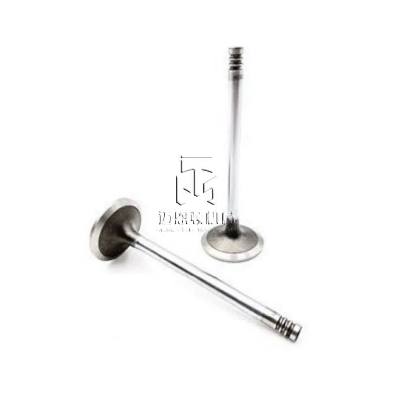 Intake Valve 20791517 04283376 04254284 04254934 BF4M2012 D4D BF6M2012 D6E