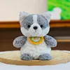 Husky dai capelli ricci