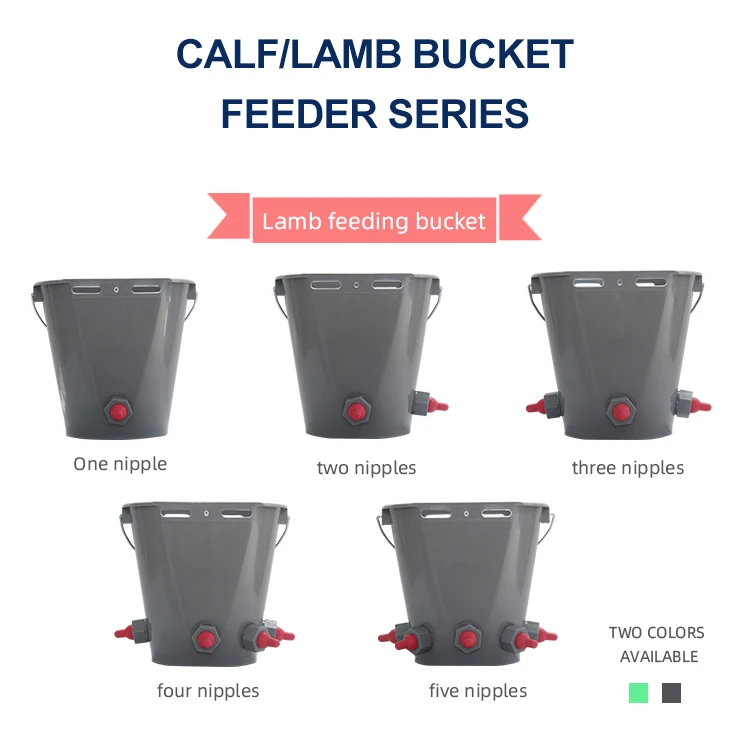 Dairy Farm Calf Feeding Milk Bucket With One Rubber Feeding Nipple