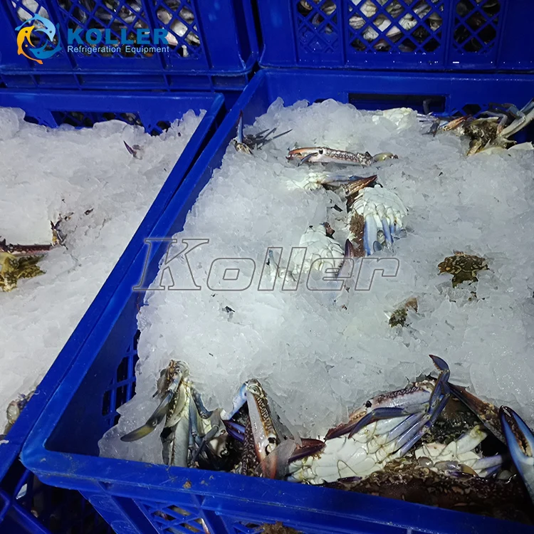 High Quality Flake Ice Maker 10 Tons Day in Malaysia Salt Water Flake Ice Machine for Fishery Fish Cooling and Preservation