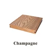 Champagne 15cm sample