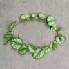 Green 8