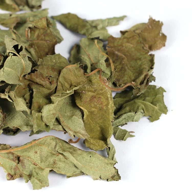 Alibaba.com: Supply Raw Material Wholesale Price Dried Whole/Crushed  Actinidia Polygama Silvervine Matatabi Leaves: Natural Plant Extracts