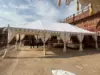 Ivory White