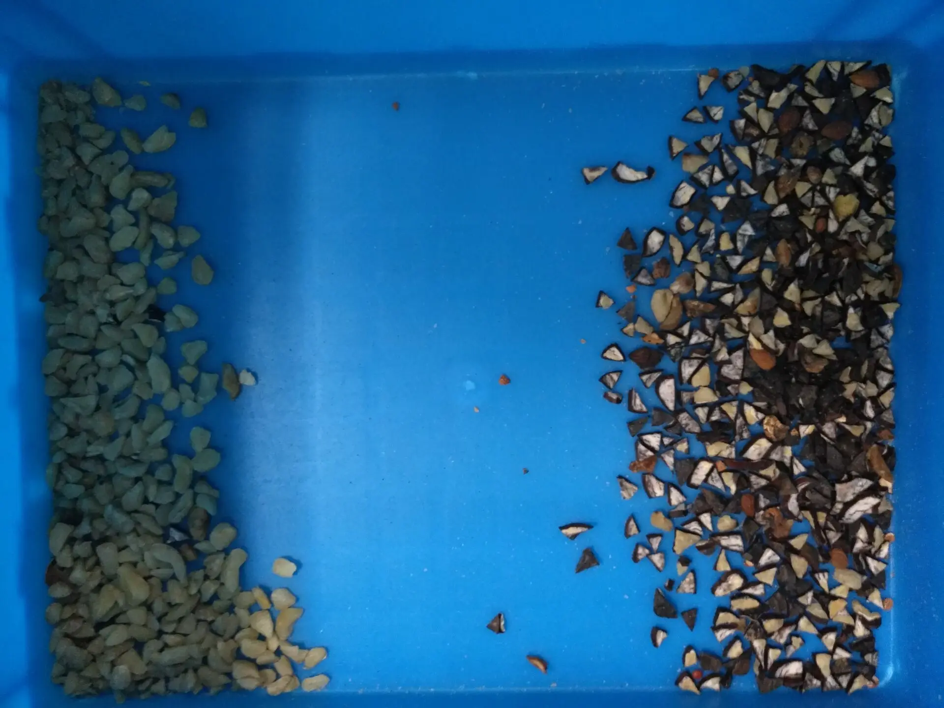 High Performance Dried Fig Color Sorter Machine Dried Fruit Color Sorting Machine Sesame Seeds Color Sorter