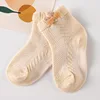 Lapin mignon beige