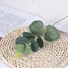 Petit eucalyptus