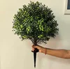 60cm buxus green
