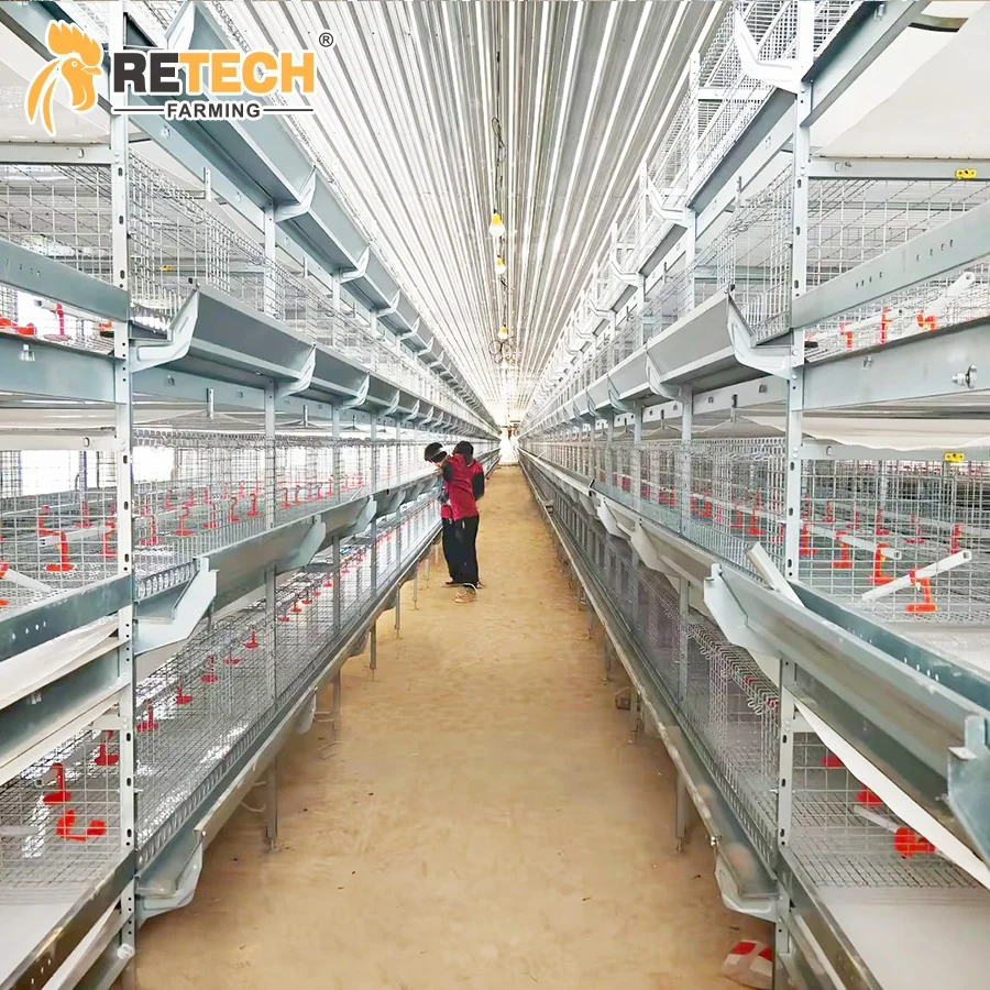 H Type Automatic Baby Layer Broiler Chicken Brooder Day Old Chick Battery Pullet Cage