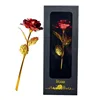 Black Box Red Rose