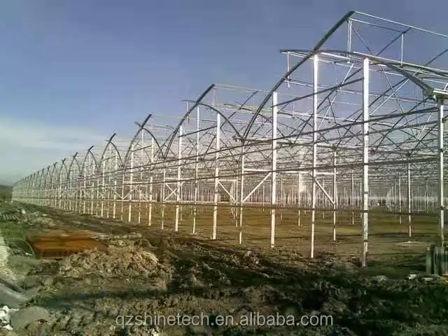 natural ventilation greenhouse