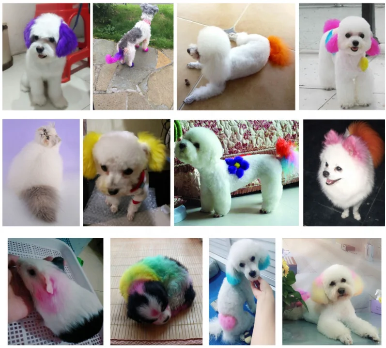 100ml Professional Pet Dog Cat Hair Color Dye Anti Allergic