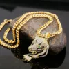 06 leopardo