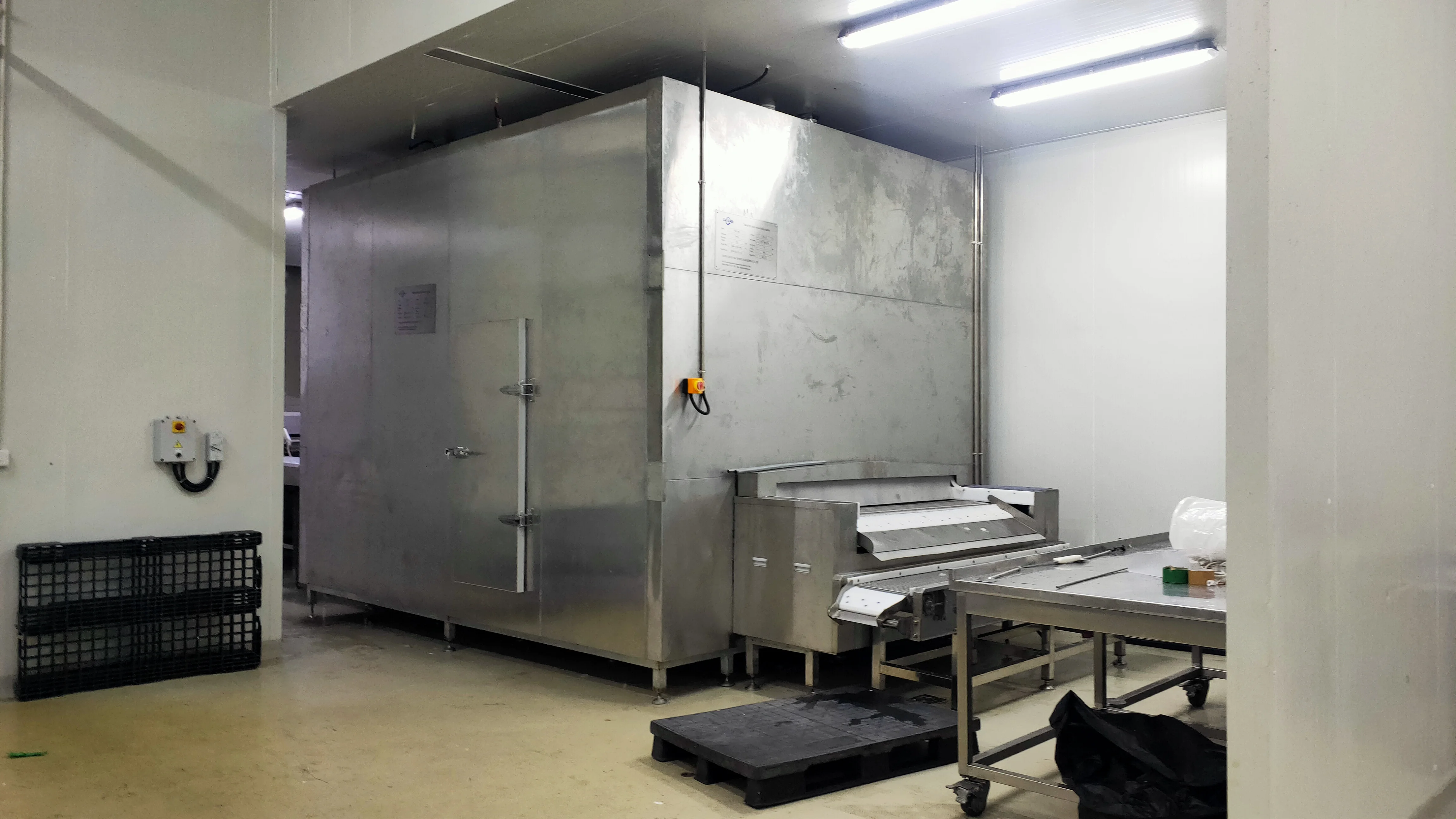 Continuous IQF freezer tunnel high-speed freezer for fruits, vegetables and meat